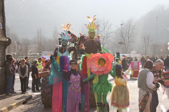 les flamboyants sous le soleil de l'Aveyron